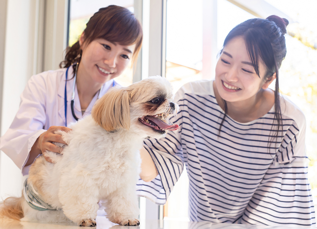 神栖ウィズマル動物病院について