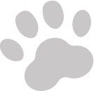 神栖ウィズマル動物病院