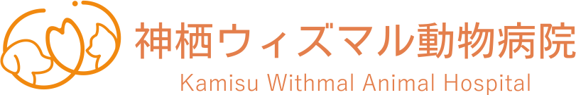 神栖ウィズマル動物病院