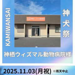 第9回神犬祭 出展のお知らせ
