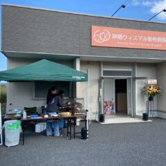 内覧会開催のご報告