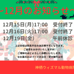 12月のお知らせ