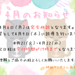 4月のおしらせ