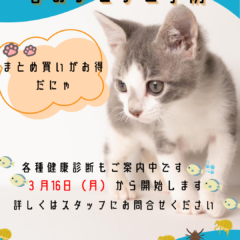 予防シーズンが始まります